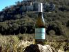 Du Chardonnay IGP Gard