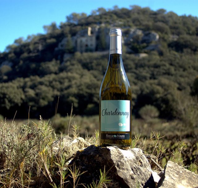 Du Chardonnay IGP Gard